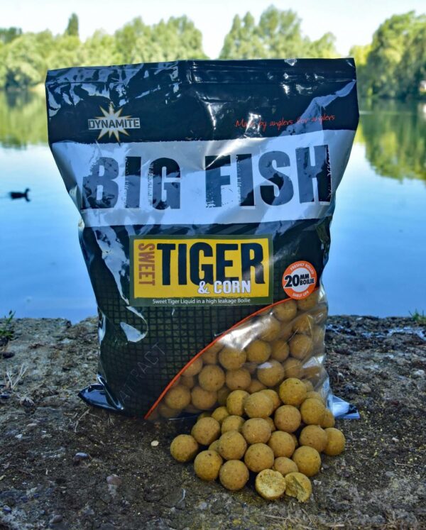 Boilies Dynamite Baits Big Fish Sweet Tiger & Corn