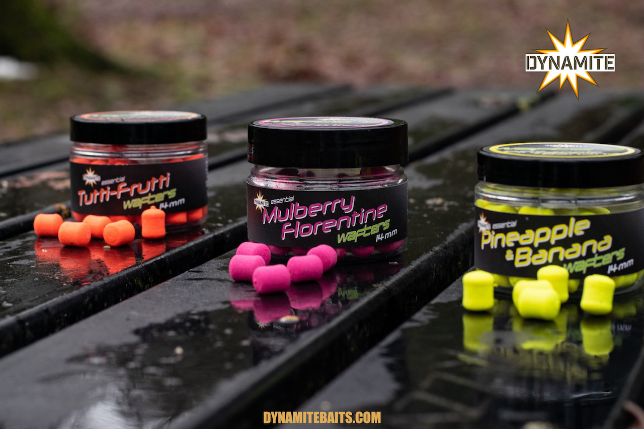 Wafters Dynamite Baits Squid & Octopus Fluro Wafters Dynamite Baits Squid & Octopus Fluro