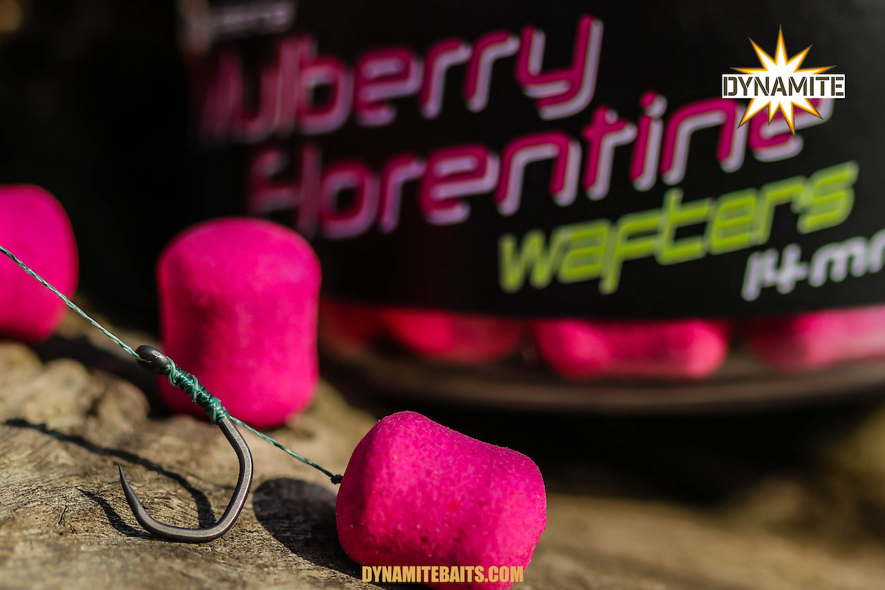 Wafters Dynamite Baits Squid & Octopus Fluro Wafters Dynamite Baits Squid & Octopus Fluro