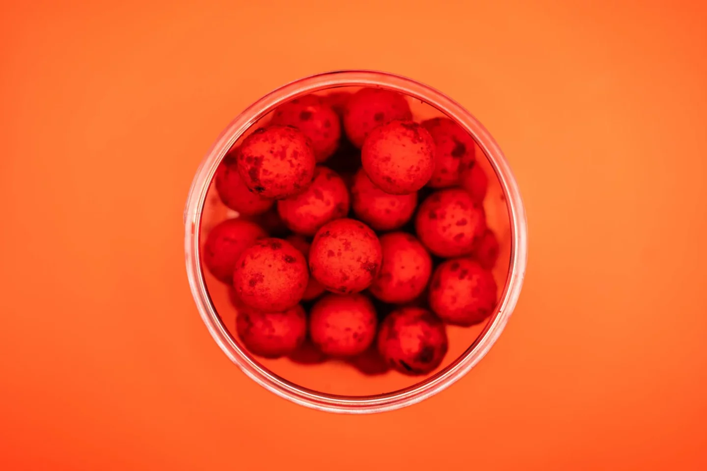 Pop_Up_Forgotten_Flavours_Sportdres_Orient_Specials_2.webp